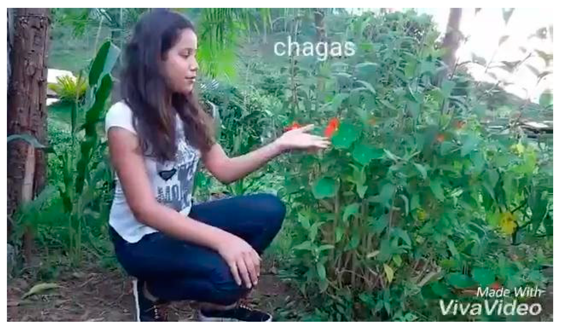 Sustainability 11 00197 g007