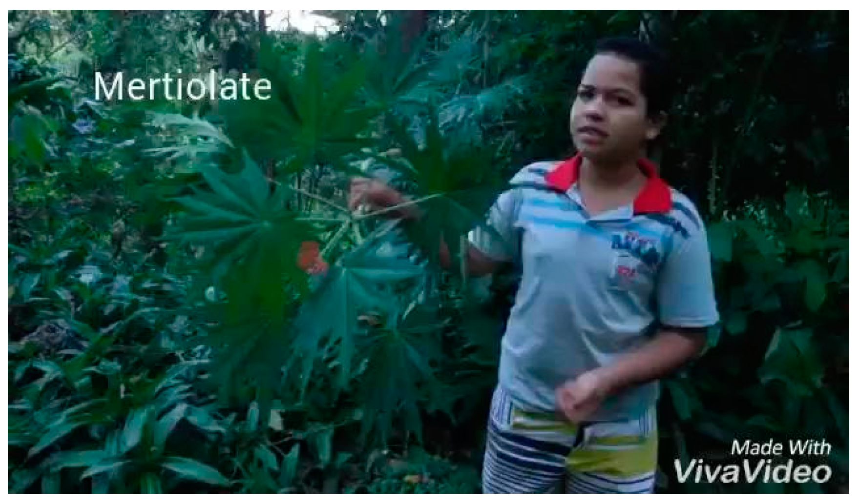 Sustainability 11 00197 g008