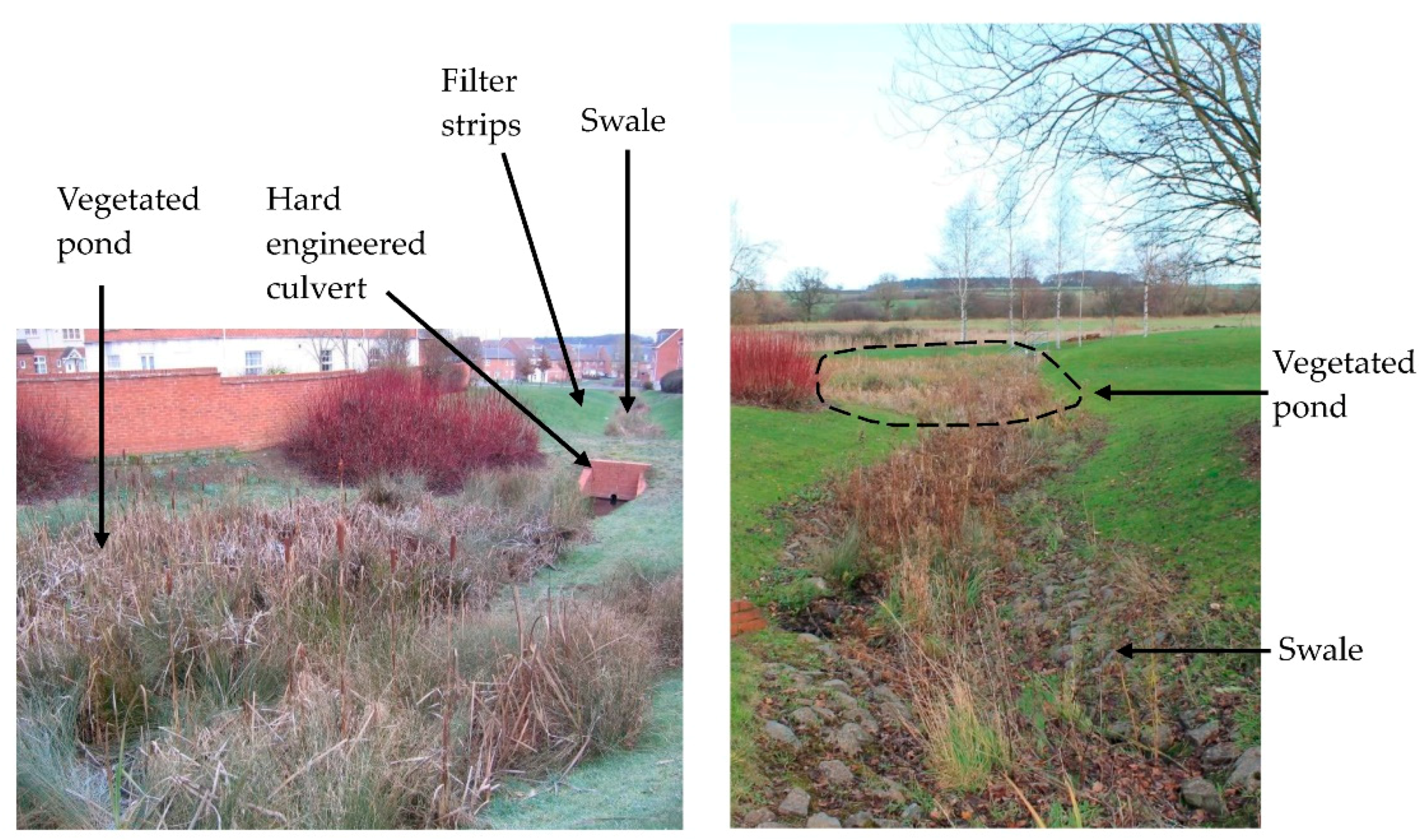 Sustainability 11 00213 g003