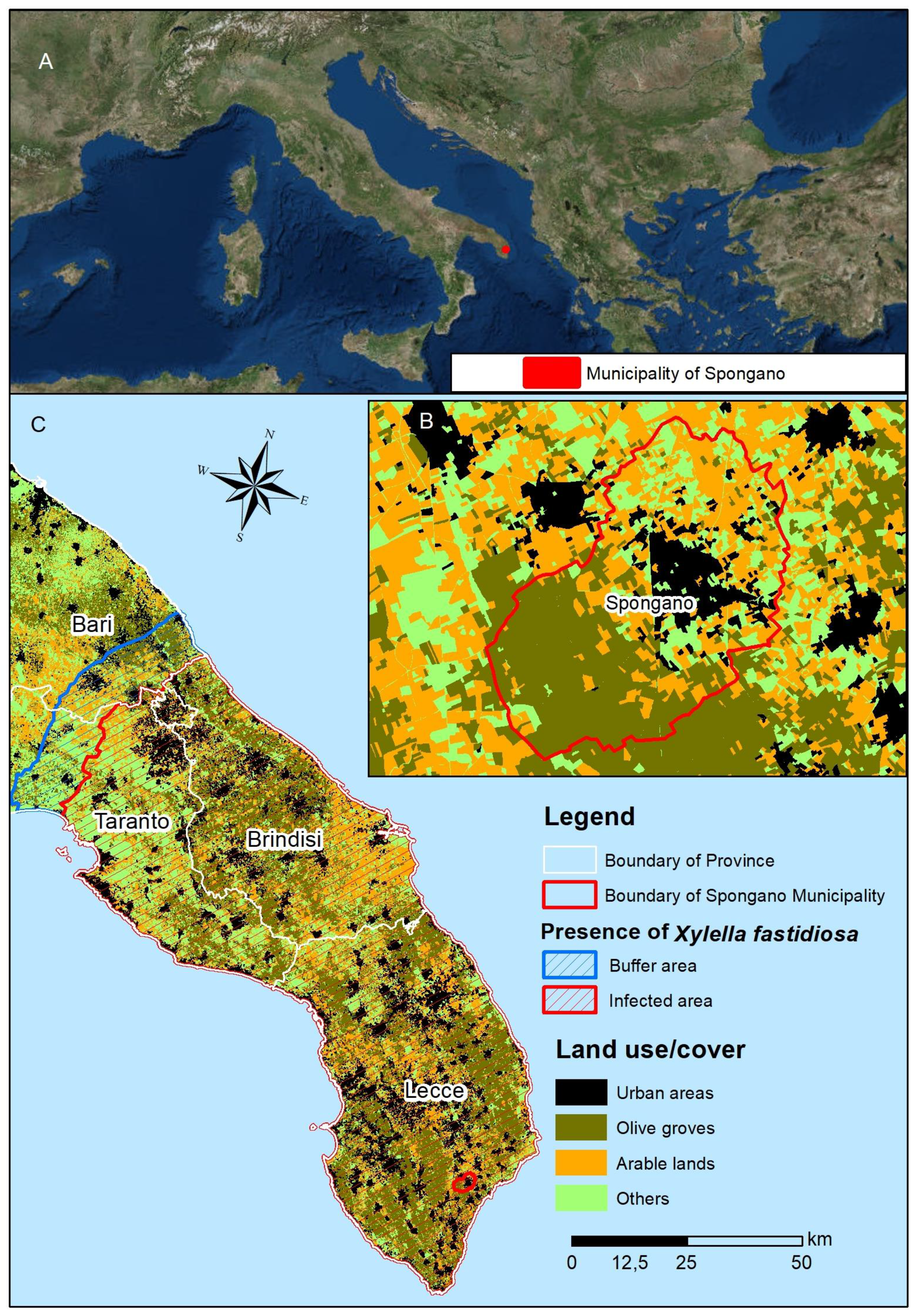 Sustainability 11 00253 g001