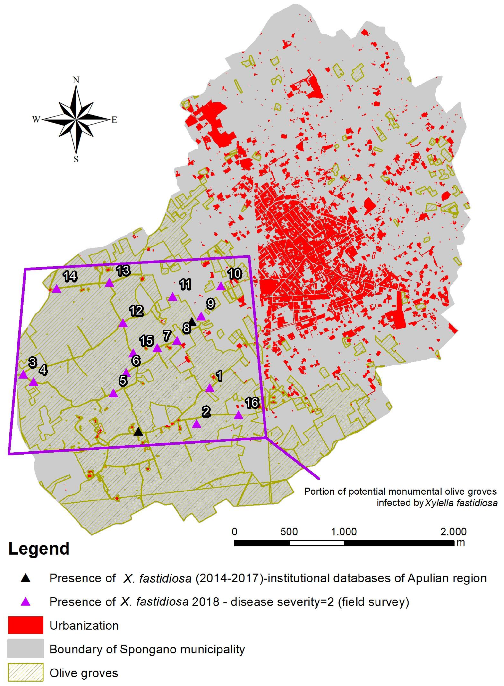 Sustainability 11 00253 g005
