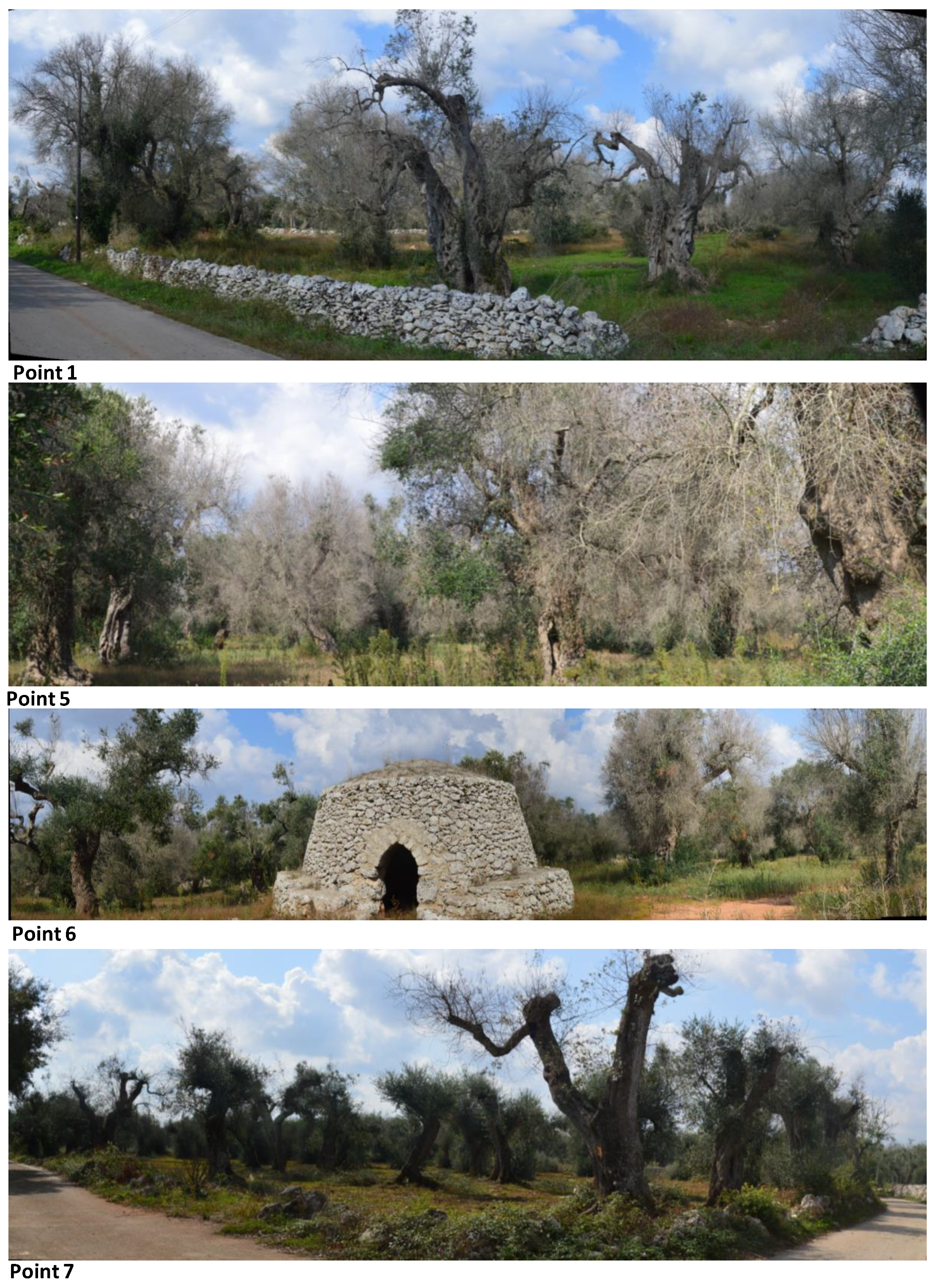 Sustainability 11 00253 g006