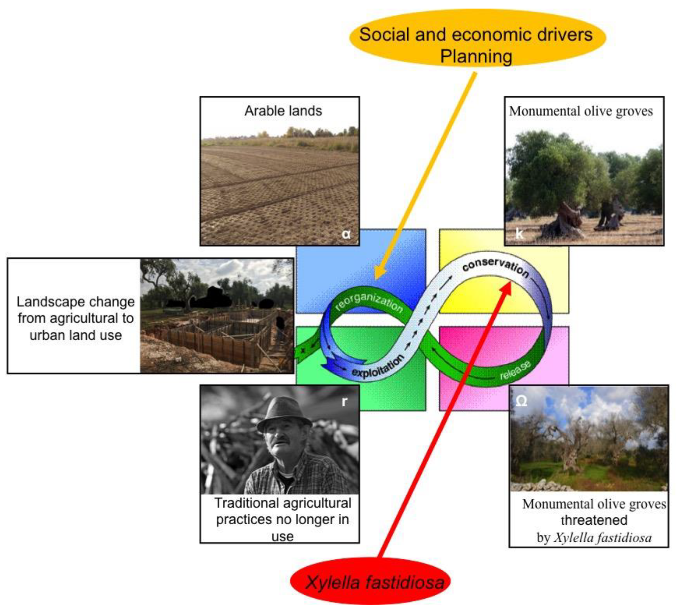 Sustainability 11 00253 g012