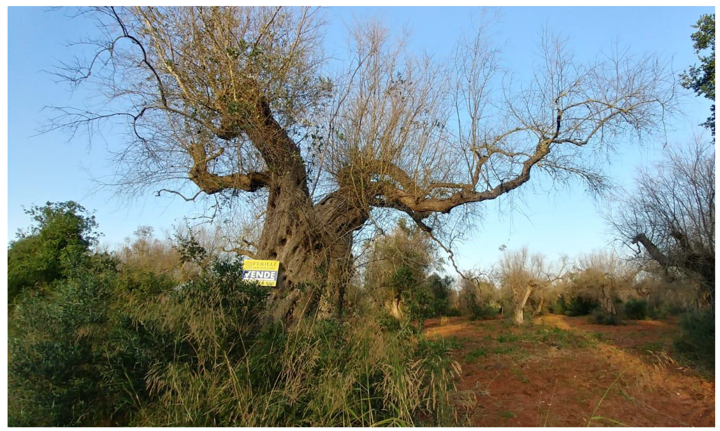 Sustainability 11 00253 g013