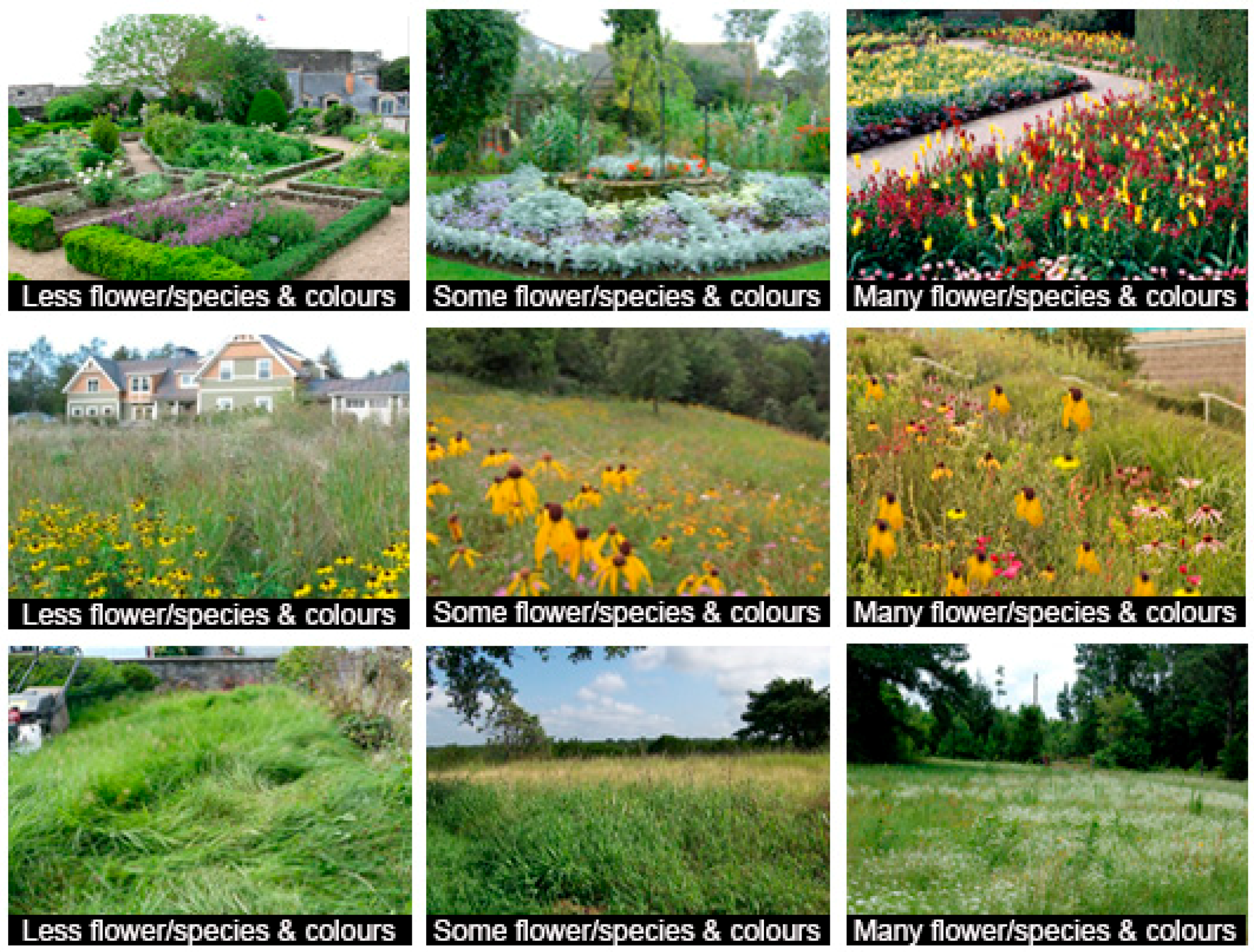 Sustainability 11 00360 g001 Sustainability 11 00360 g001