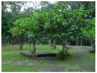 Sustainability 11 00403 i004 Sustainability 11 00403 i004