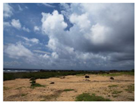 Sustainability 11 00403 i005 Sustainability 11 00403 i005