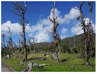 Sustainability 11 00403 i006 Sustainability 11 00403 i006