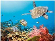 Sustainability 11 00403 i007 Sustainability 11 00403 i007