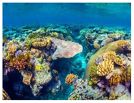 Sustainability 11 00403 i008 Sustainability 11 00403 i008