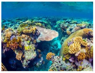 Sustainability 11 00403 i009 Sustainability 11 00403 i009