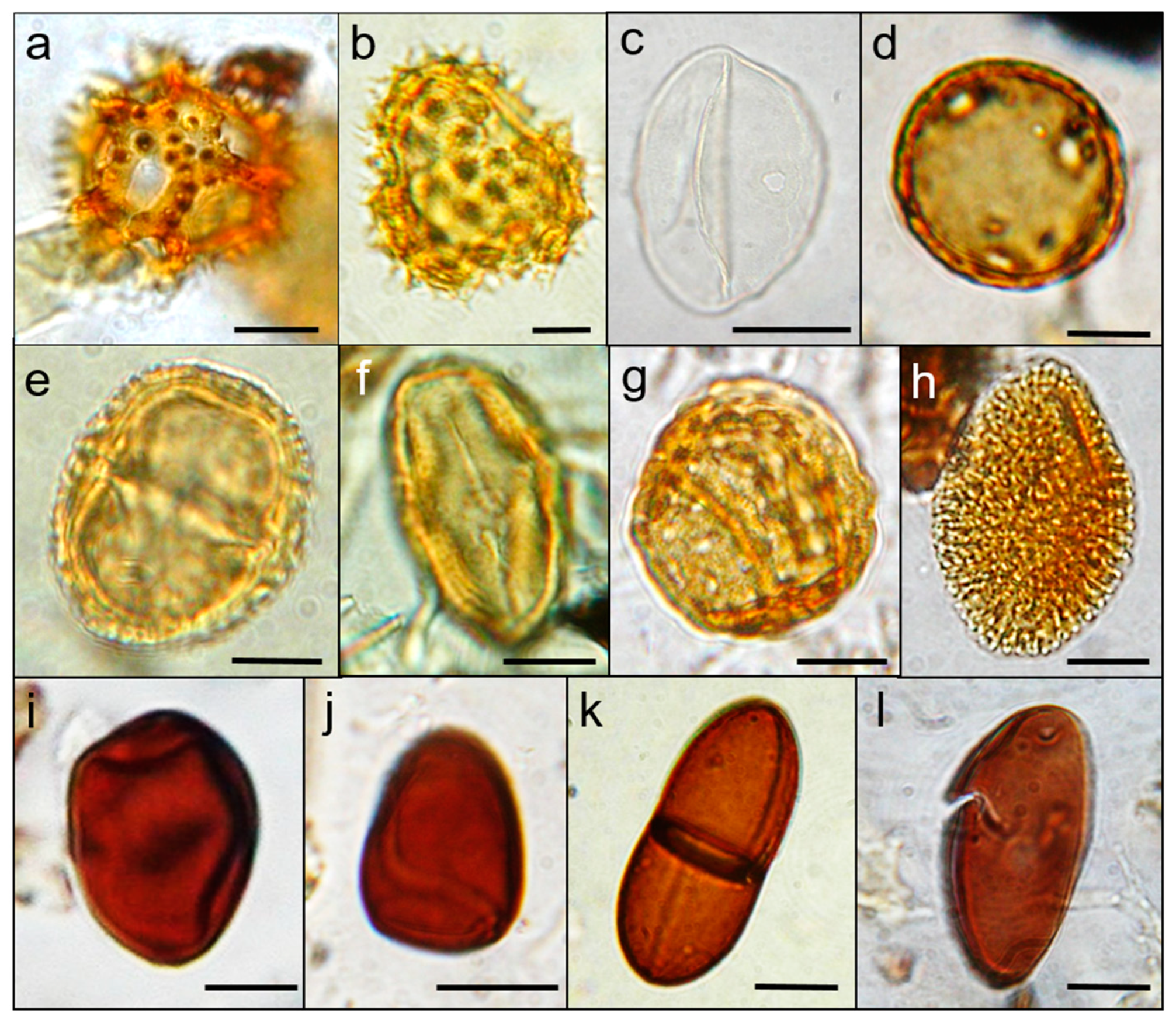 Sustainability 11 00404 g005 Sustainability 11 00404 g005