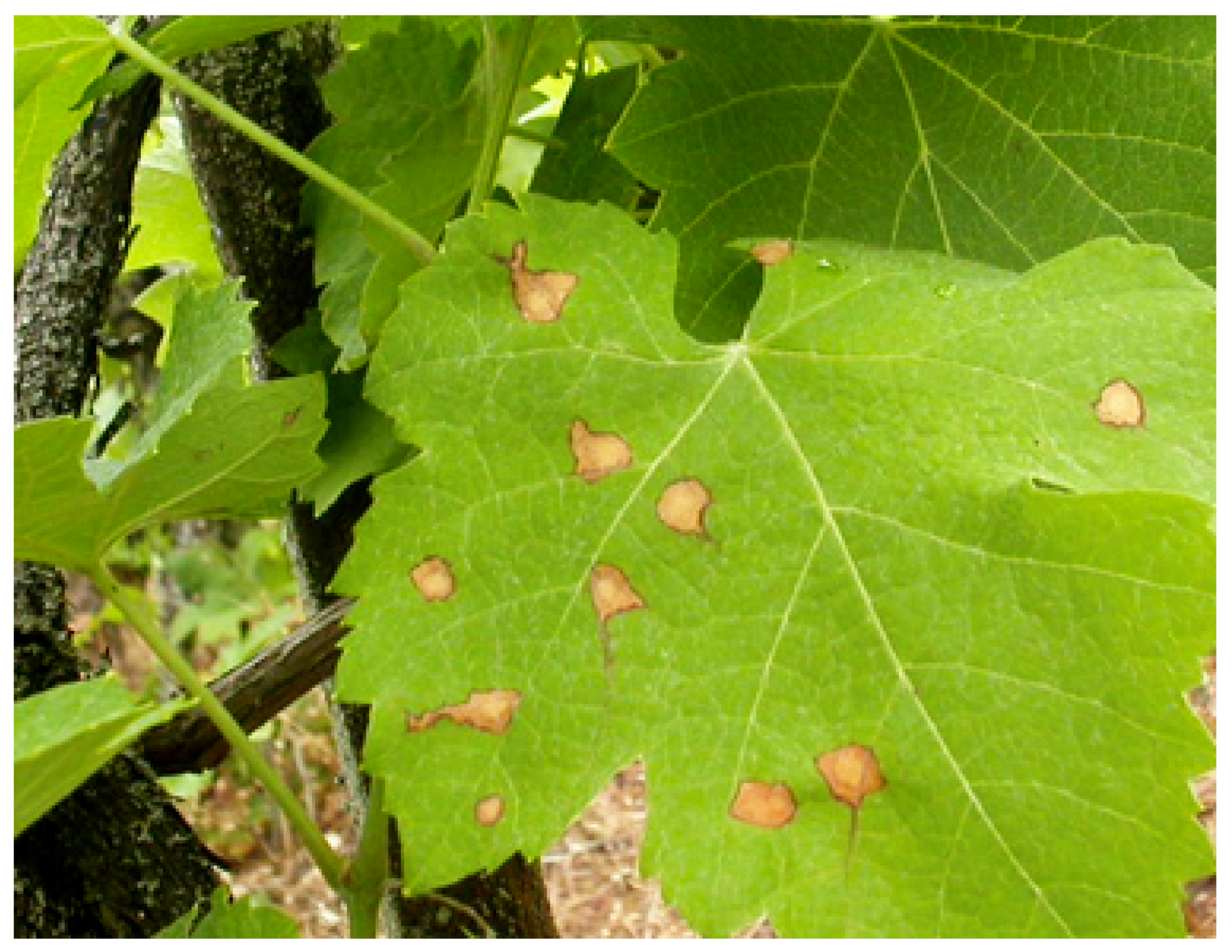 Sustainability 11 00416 g007 Sustainability 11 00416 g007