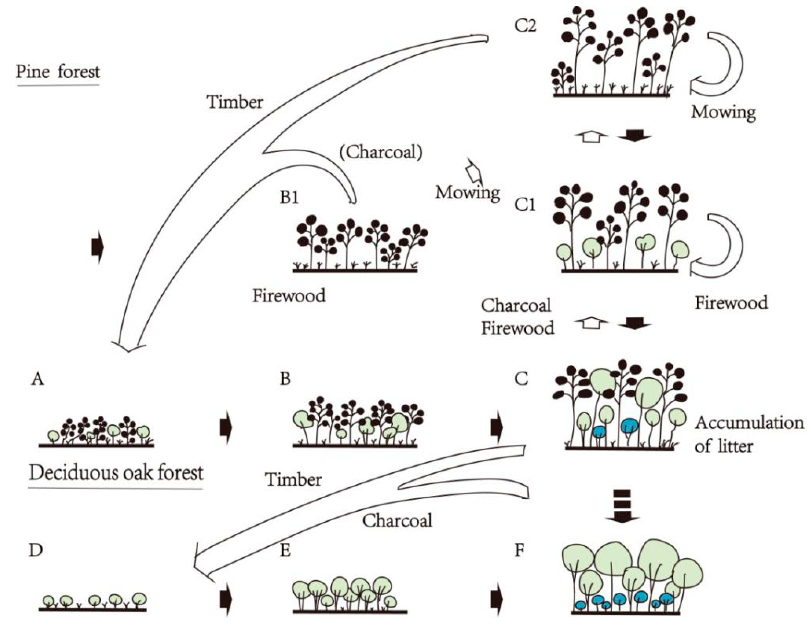 Sustainability 11 00454 g002 Sustainability 11 00454 g002