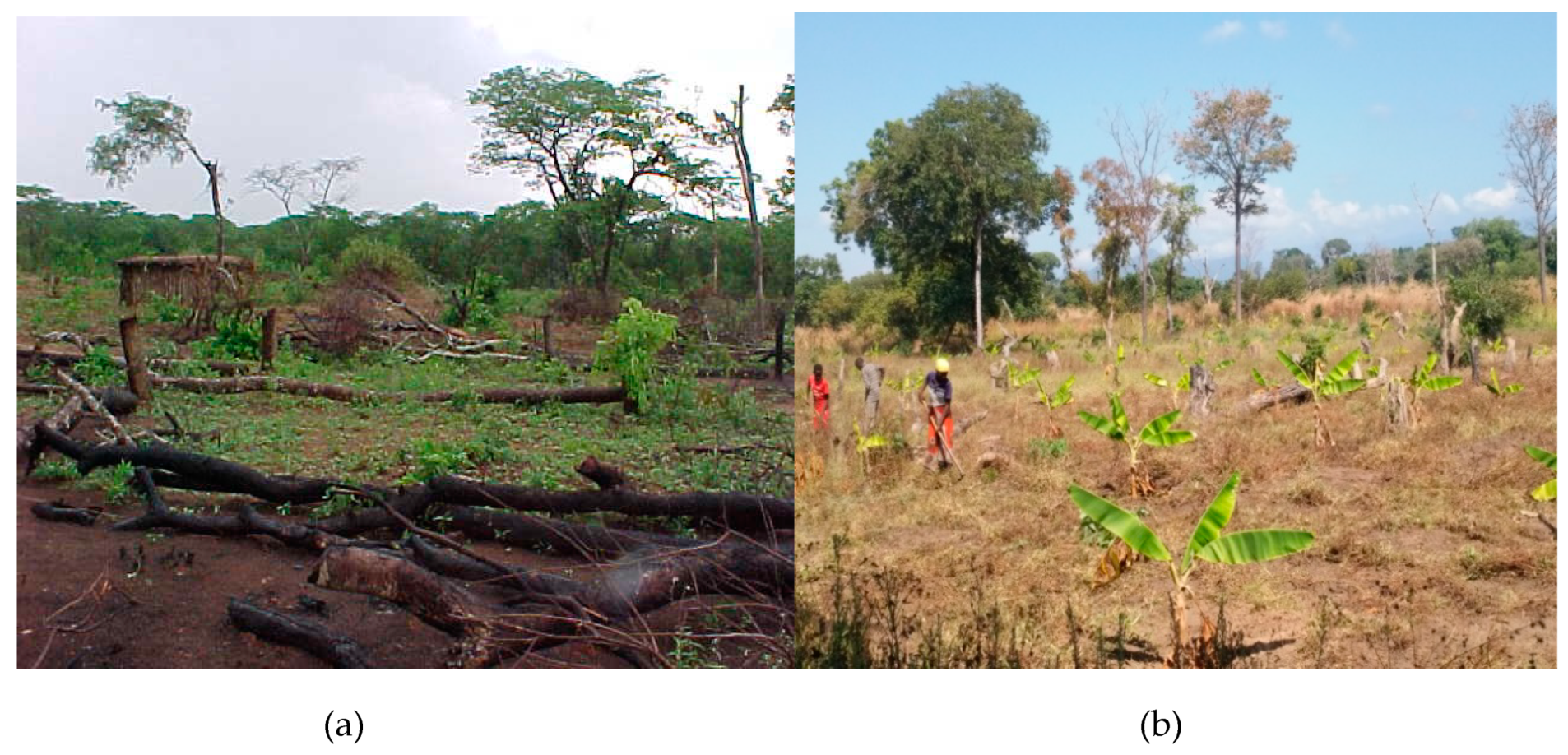 Sustainability 11 00505 g006a