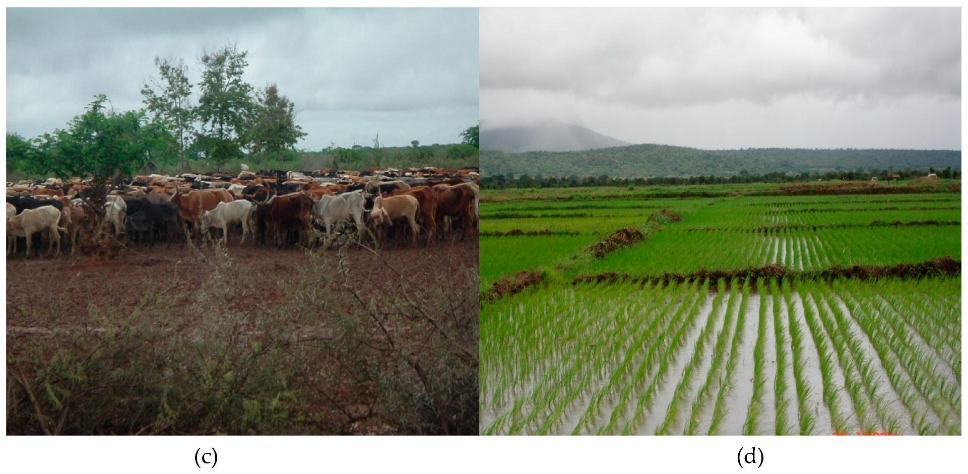 Sustainability 11 00505 g006b