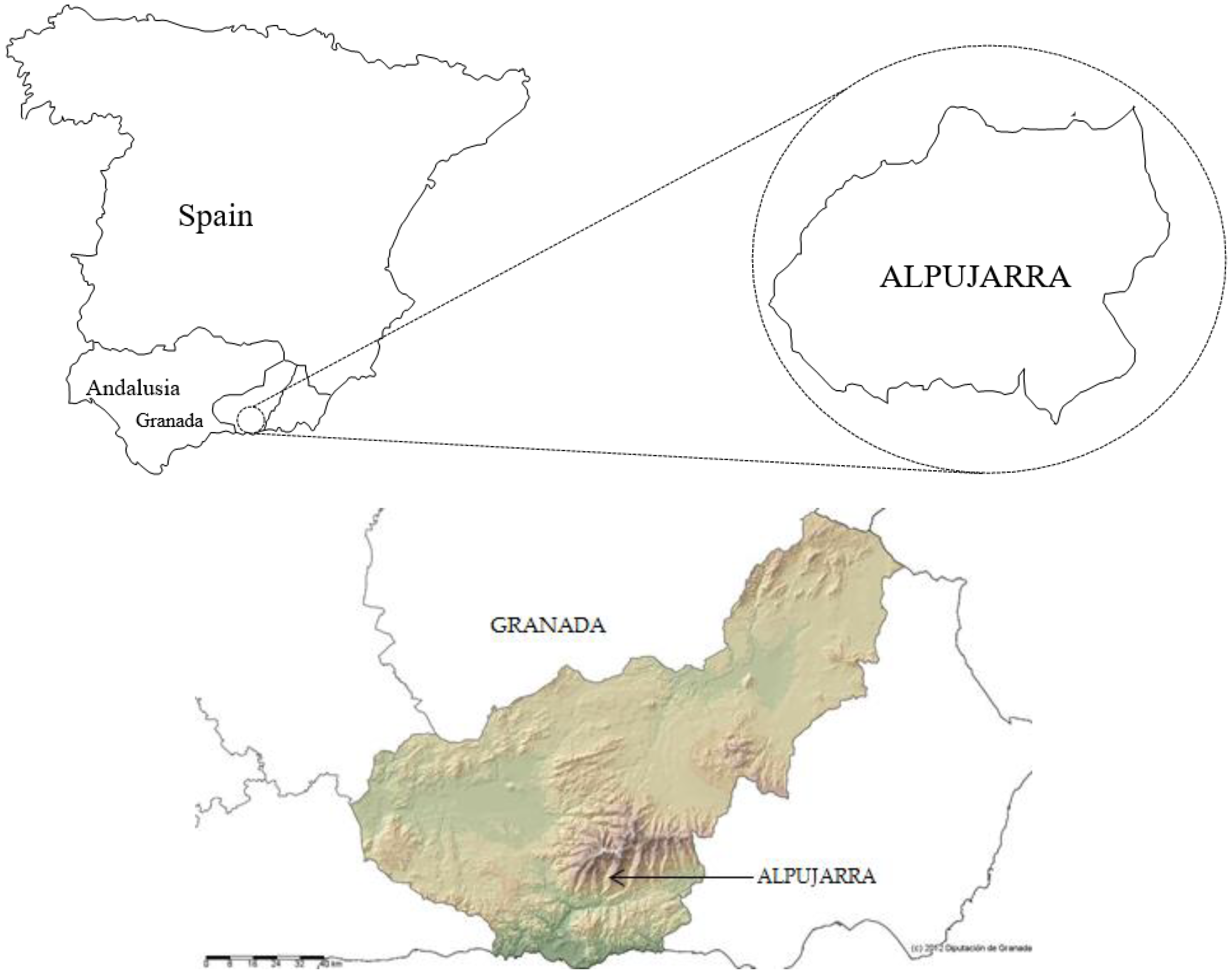 Sustainability 11 00704 g001