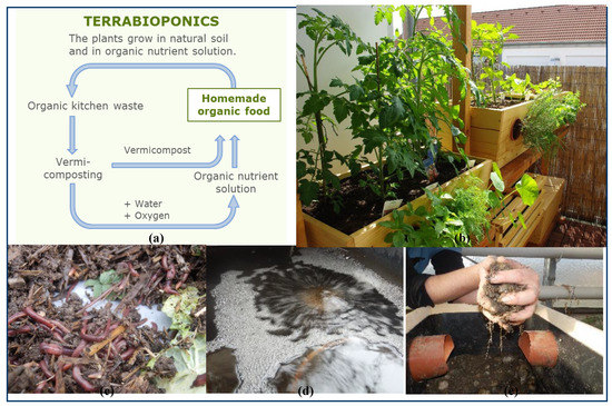 Sustainability Free Full Text Urban Gardening In Germany