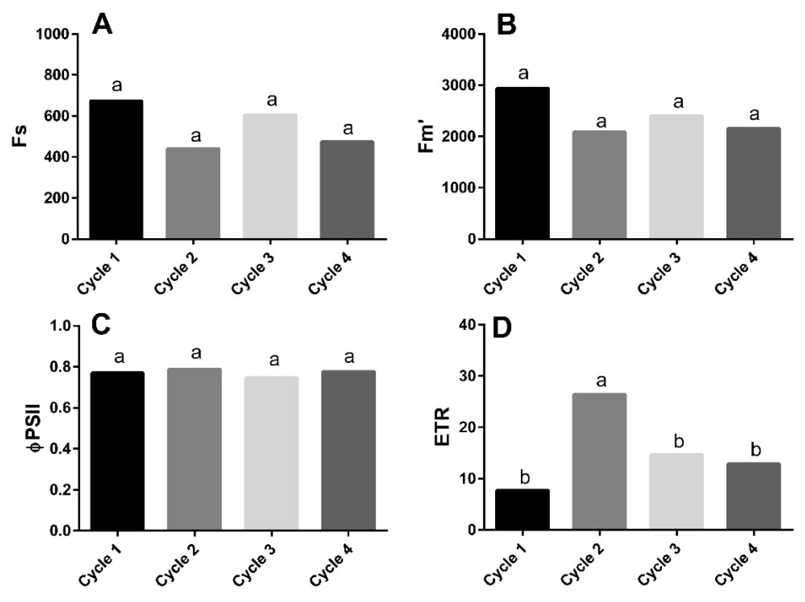 Sustainability 11 00841 g003