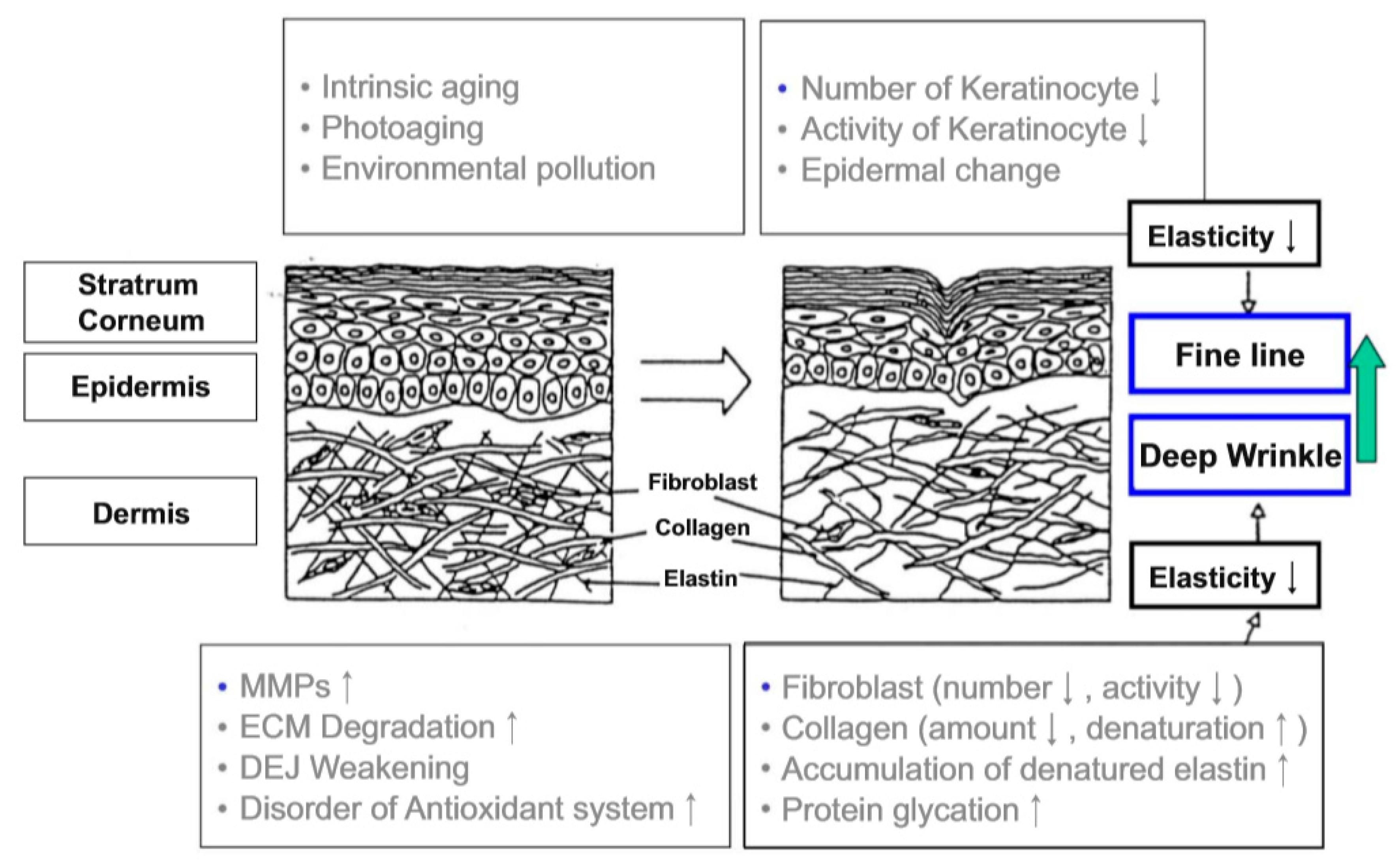Sustainability 11 00898 g001 550