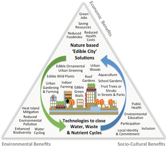 Sustainability Free Full Text Edible City Solutions One Step