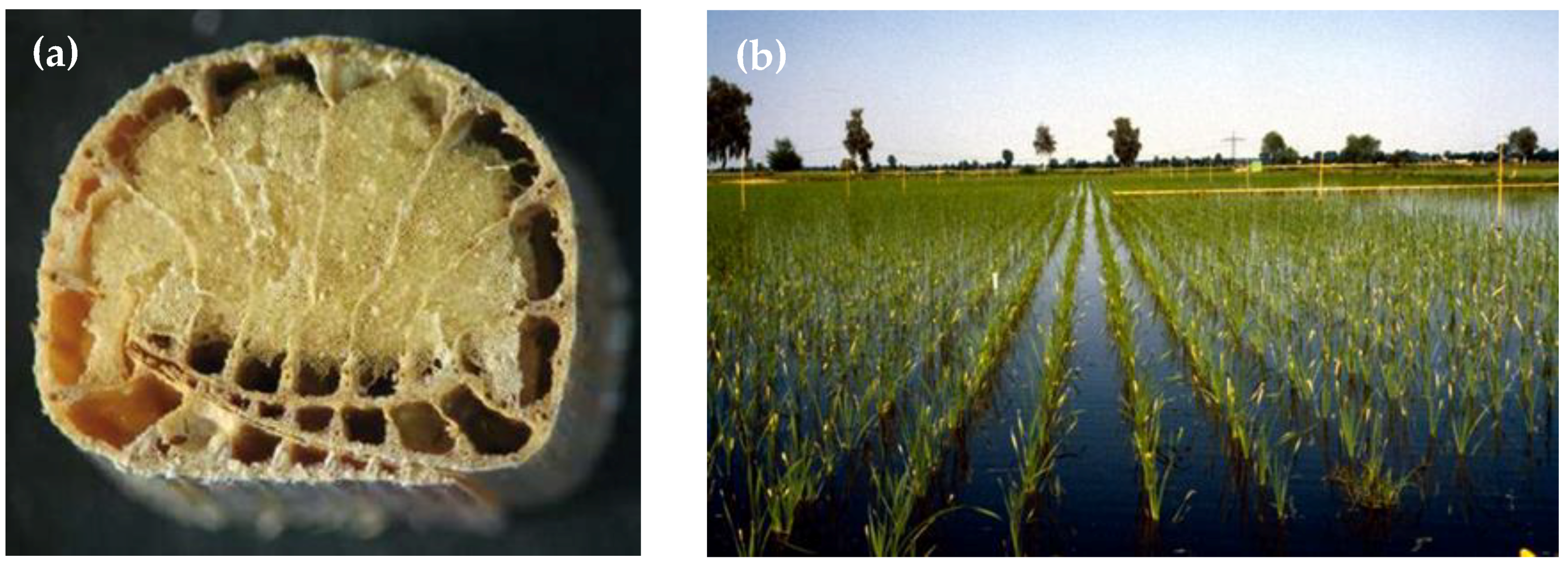 Sustainability 11 01000 g001 550