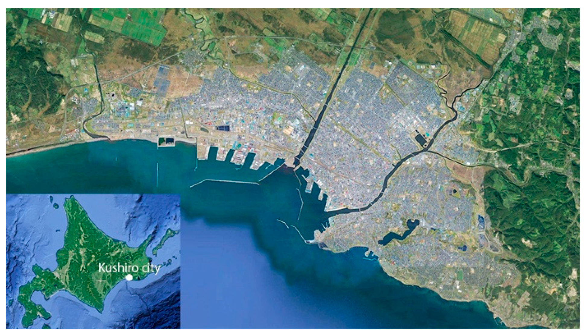 Sustainability 11 01020 g001