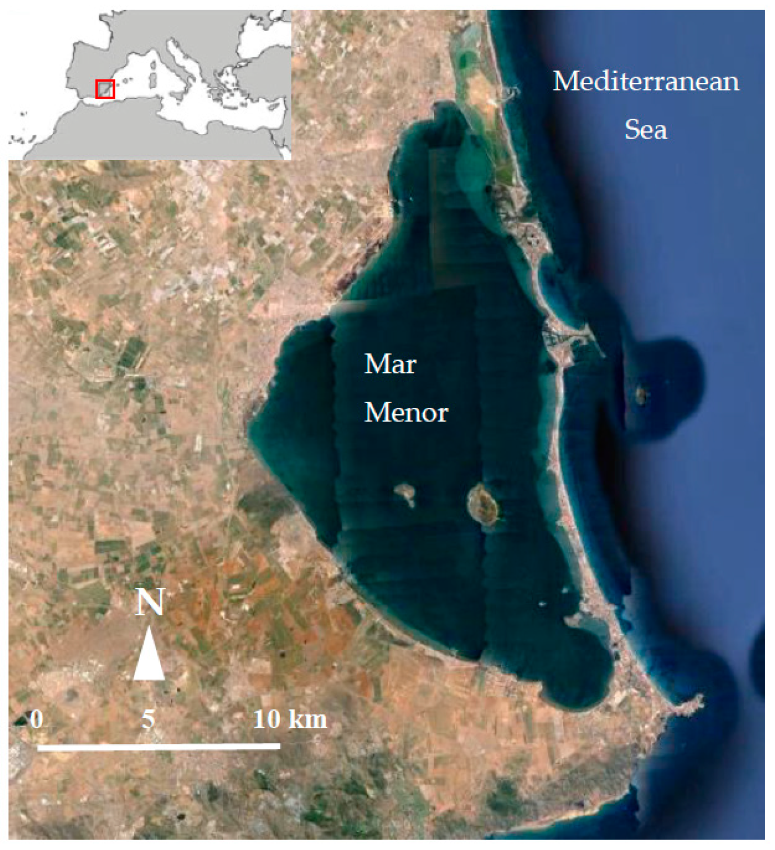 Sustainability Free Full Text New Strategies To Improve Co Management In Enclosed Coastal Seas And Wetlands Subjected To Complex Environments Socio Economic Analysis Applied To An International Recovery Success Case Study After An