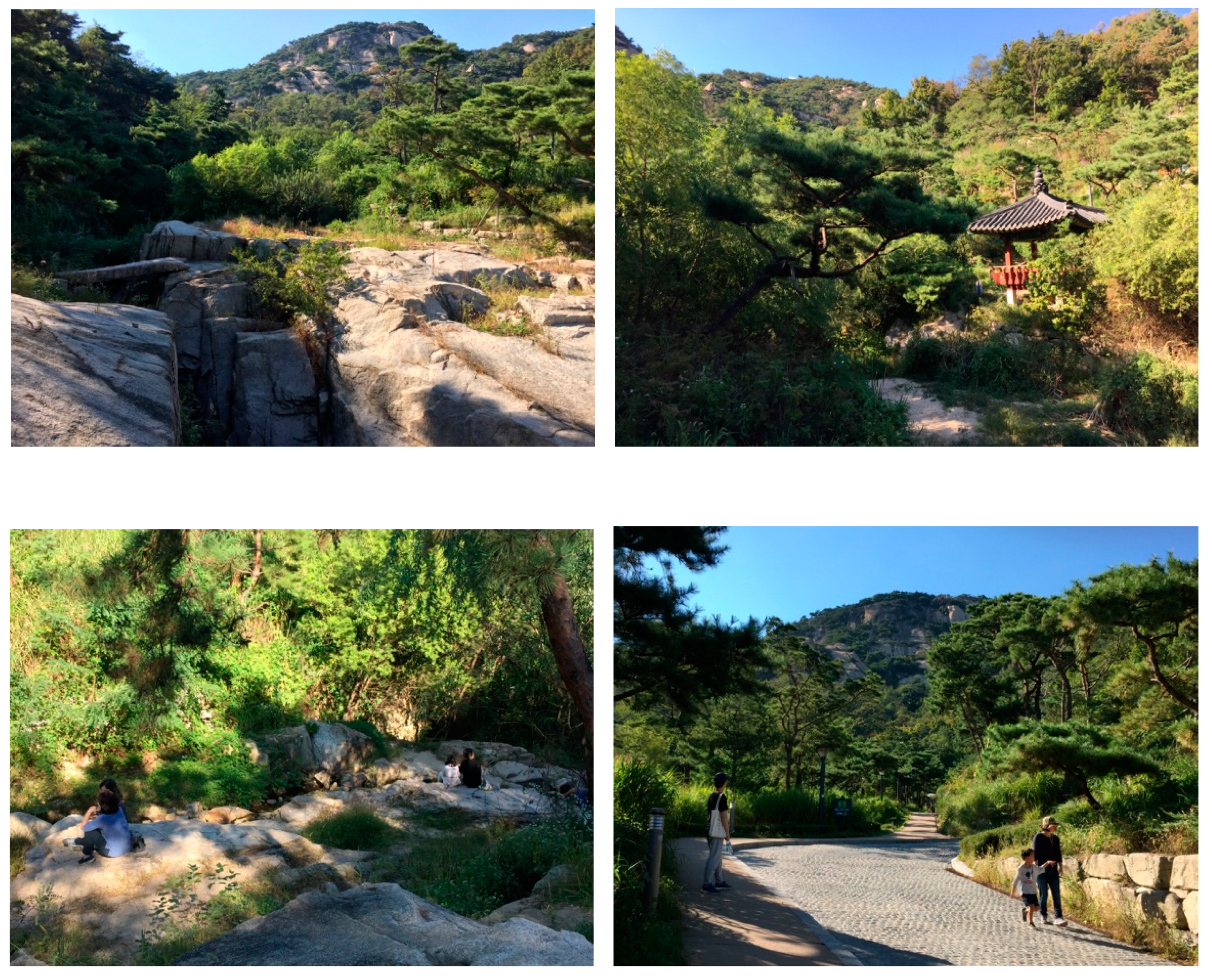 Sustainability 11 01126 g018