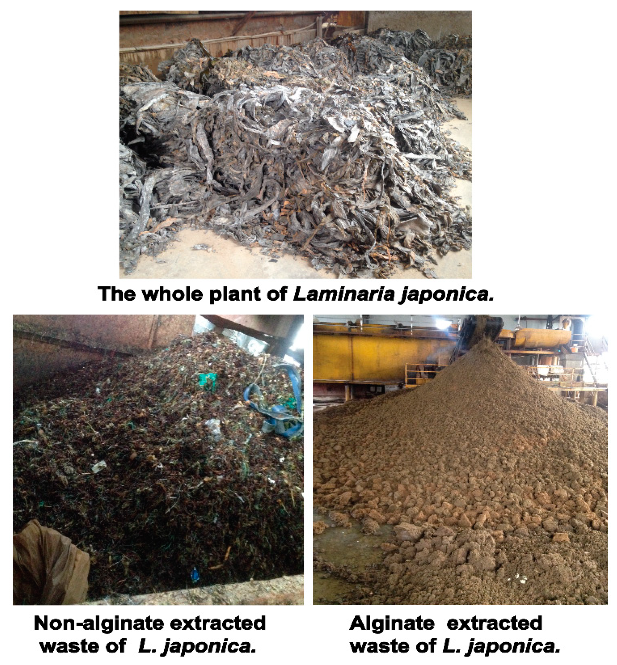 Sustainability 11 01269 g001 Sustainability 11 01269 g001