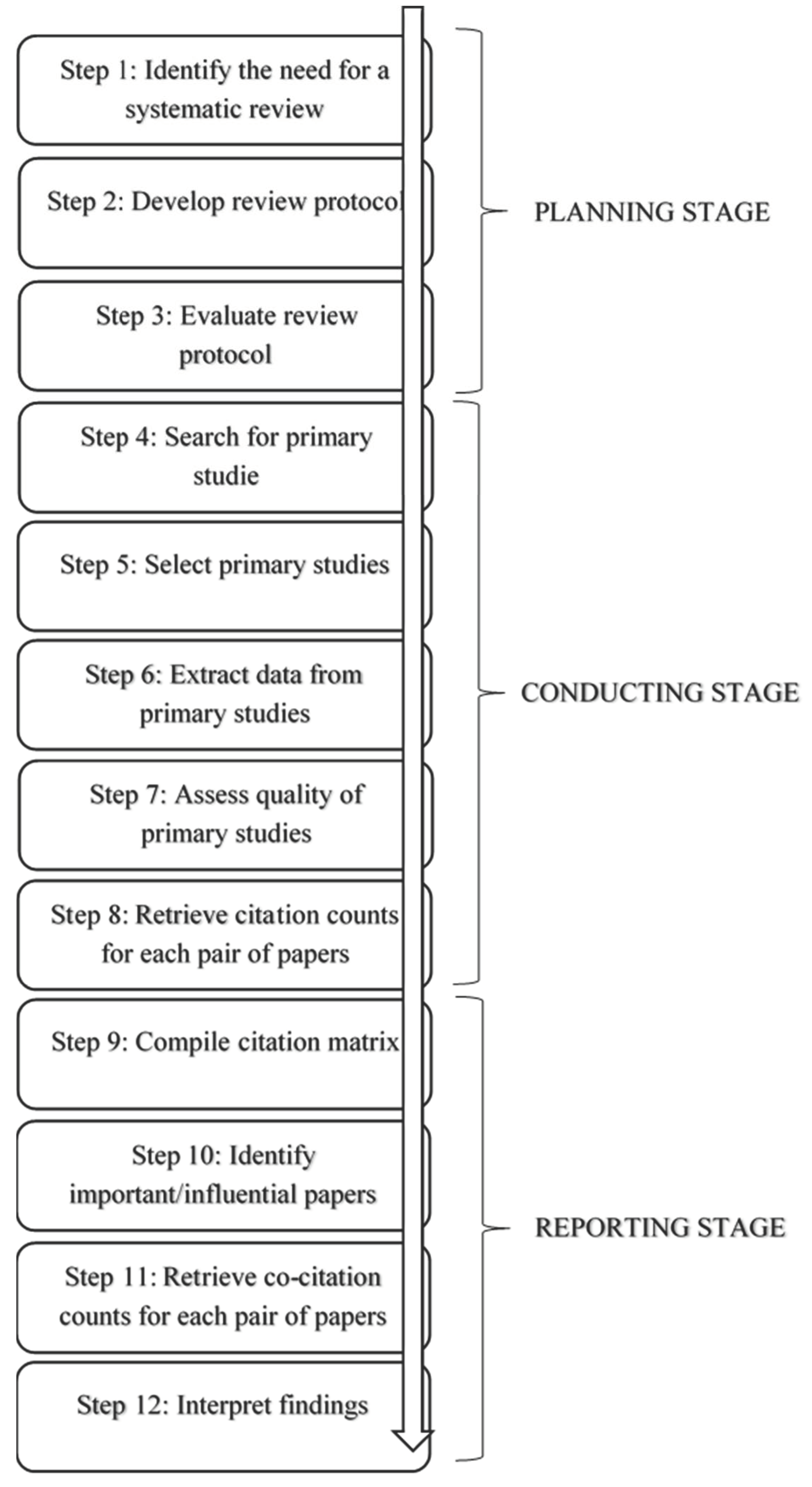 Text-type organization: “Speech” and “Review” « 4M English B