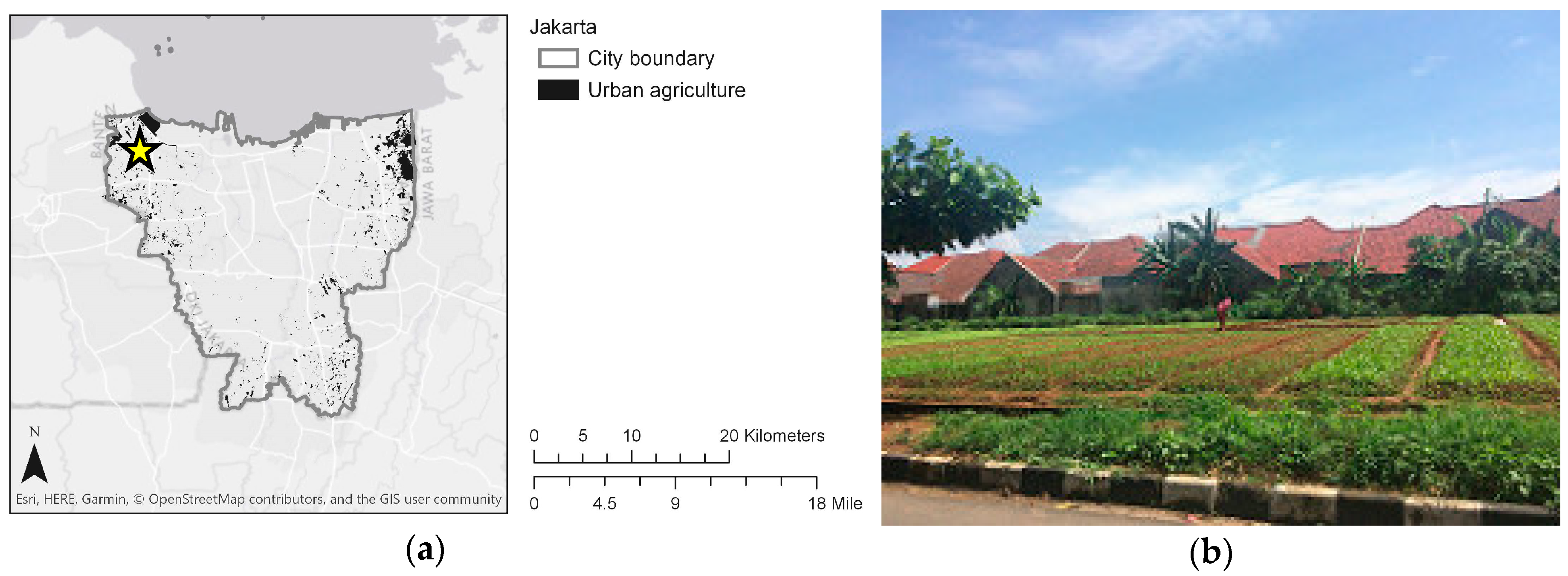Sustainability 11 01378 g002 Sustainability 11 01378 g002