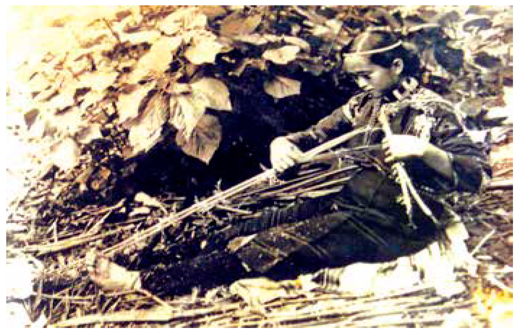 Sustainability 11 01519 g011 550