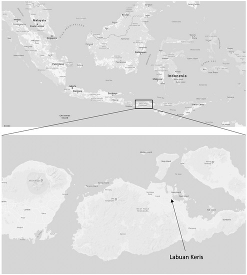 Sustainability  Free Full-Text  Socio-Economic Drivers of 