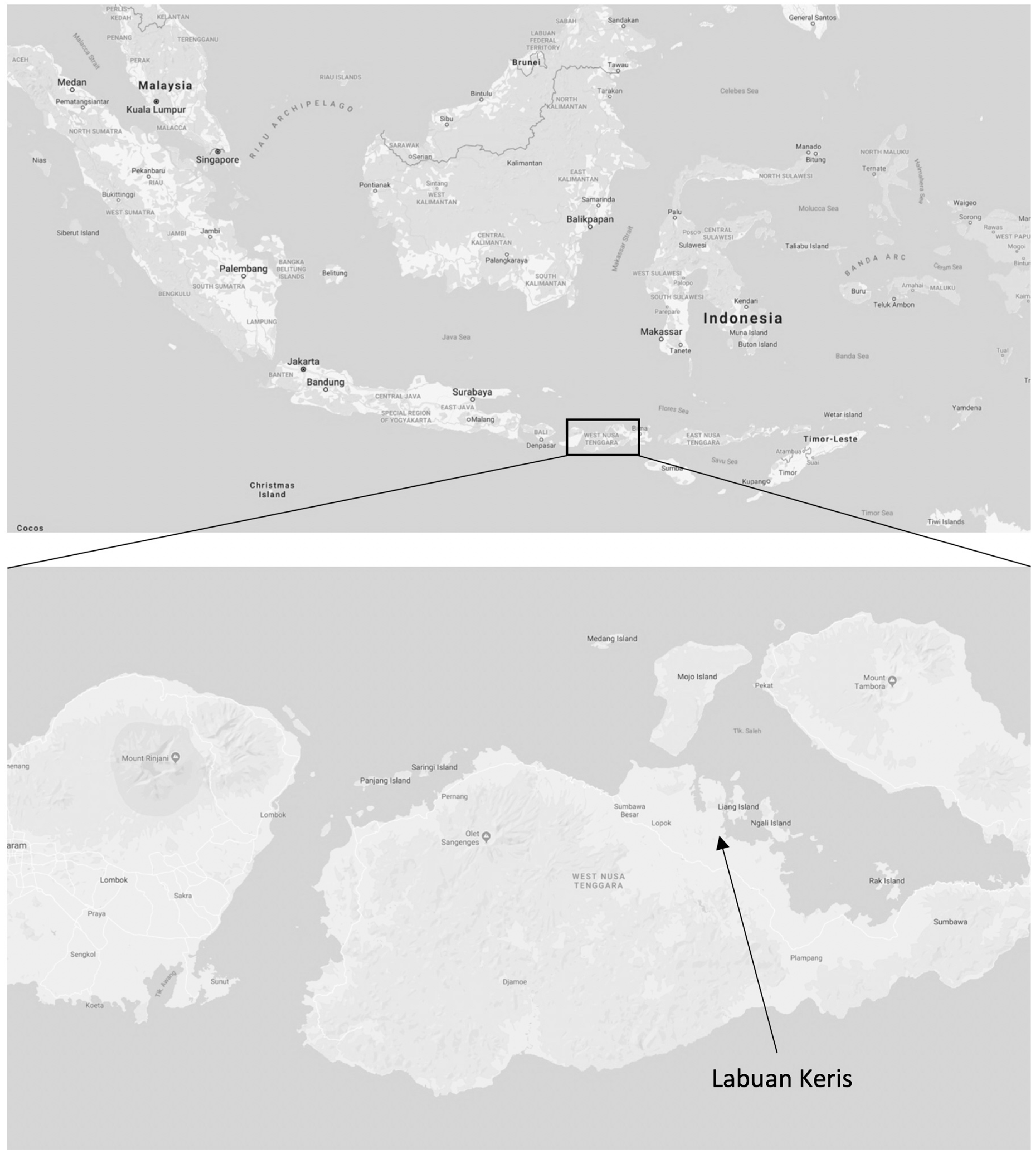 Sustainability 11 01543 g001 Sustainability 11 01543 g001