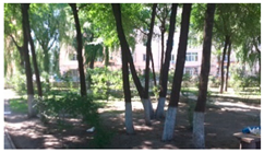 Sustainability 11 01572 i003