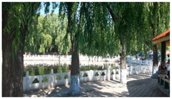 Sustainability 11 01572 i004