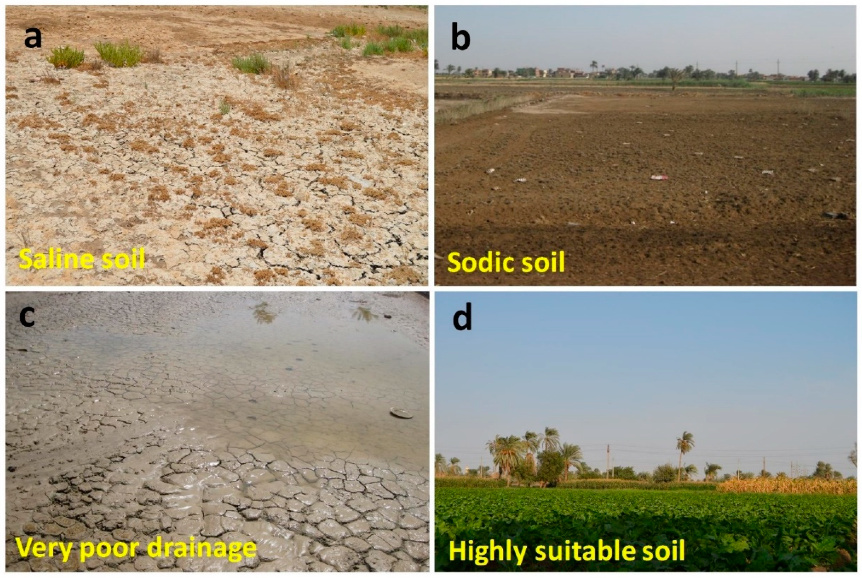 Sustainability 11 01588 g003 Sustainability 11 01588 g003