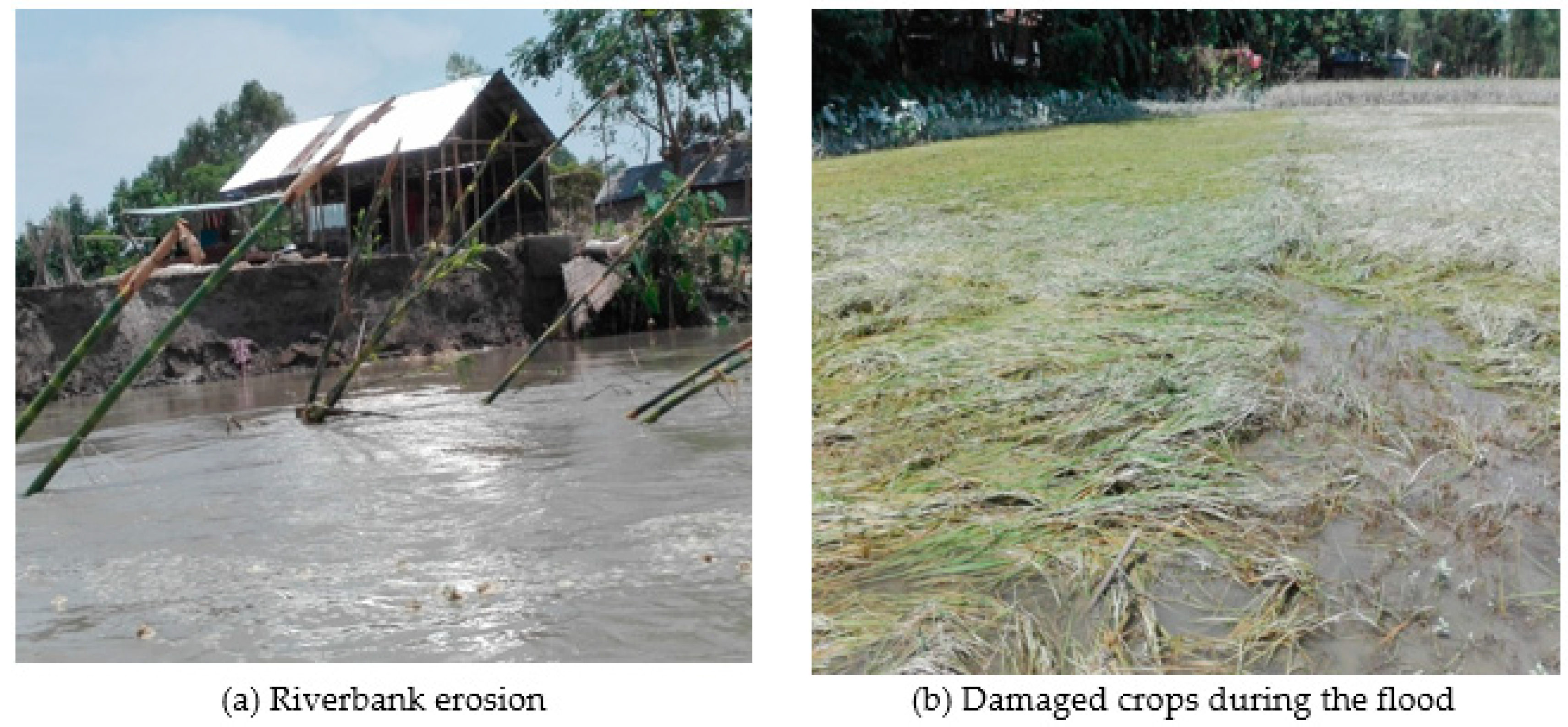 Sustainability 11 01623 g002 Sustainability 11 01623 g002