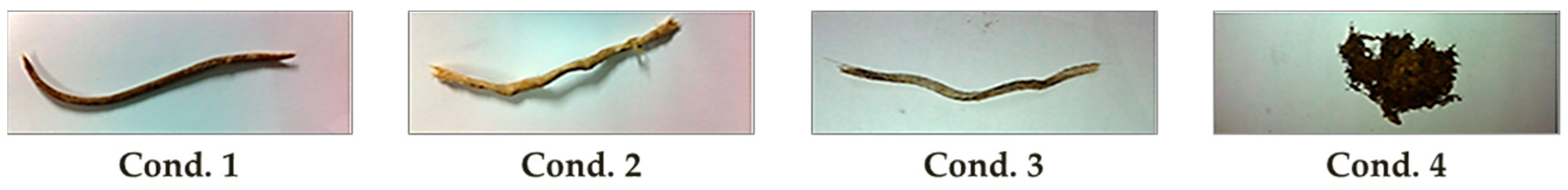 Sustainability 11 01670 g005 550