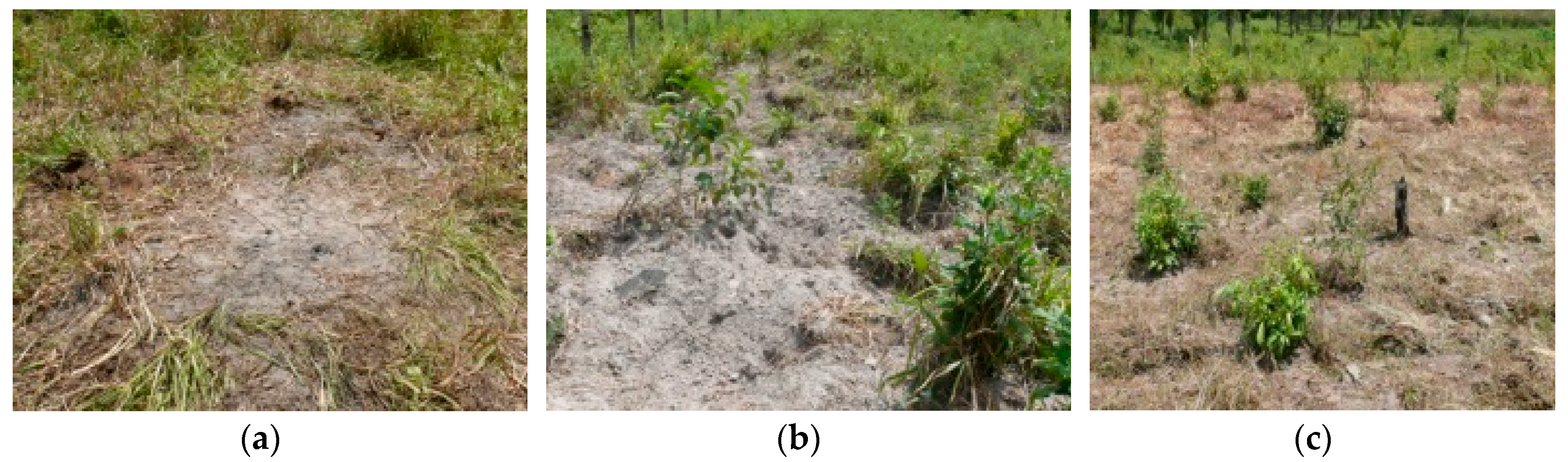 Sustainability 11 01729 g004 Sustainability 11 01729 g004