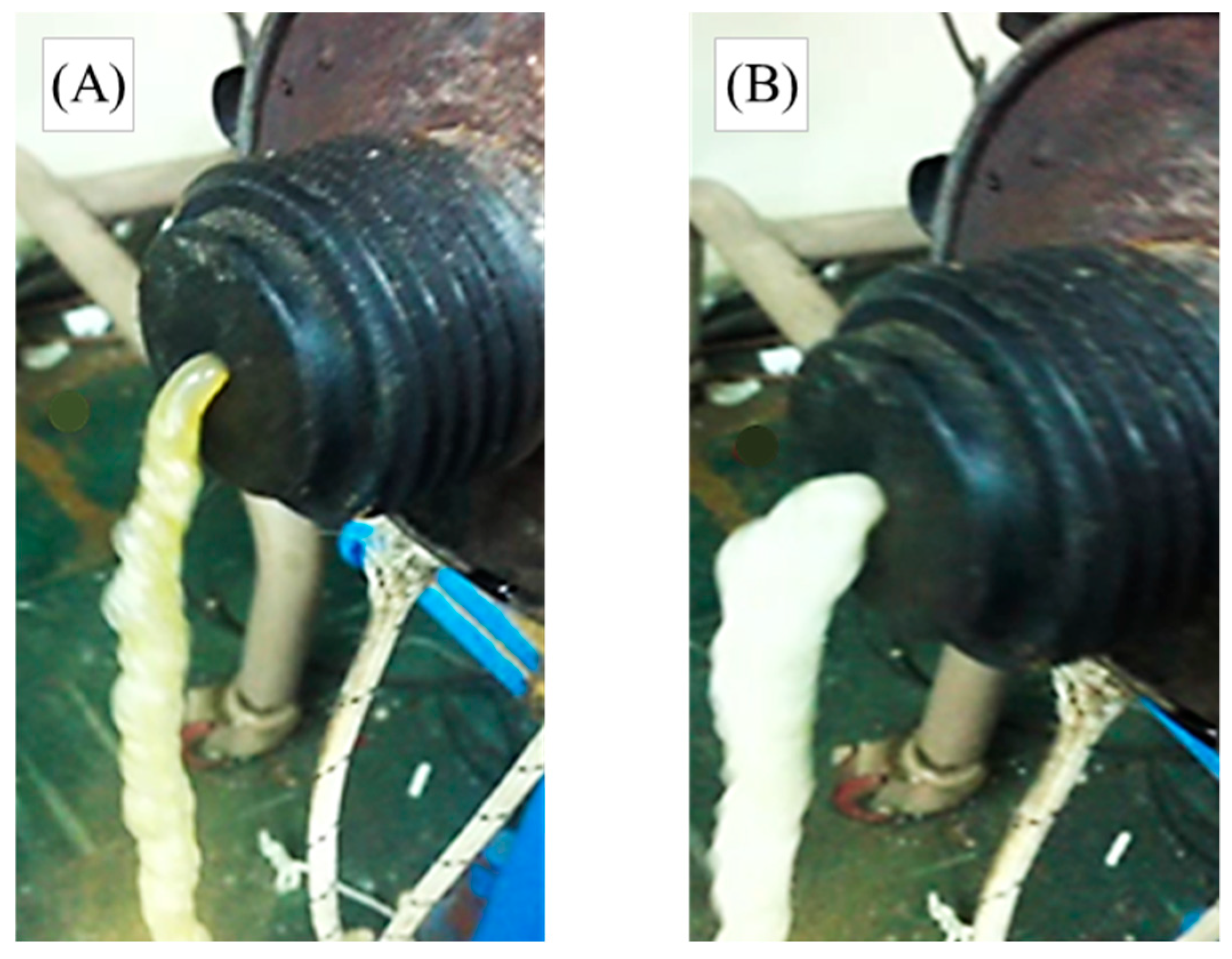 Sustainability 11 01731 g007