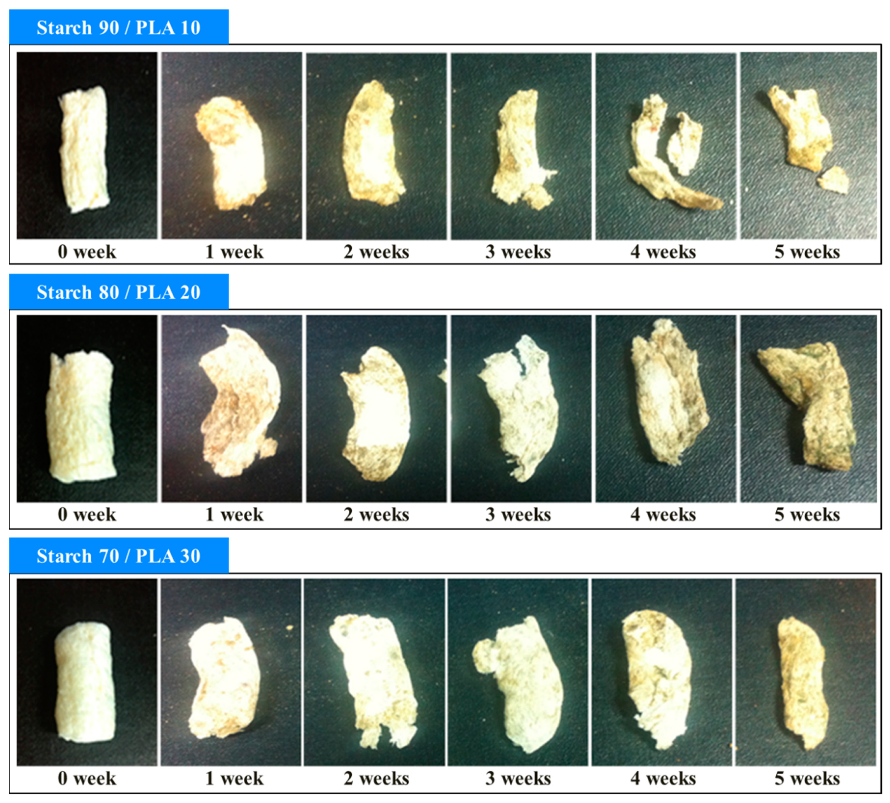 Sustainability 11 01731 g015