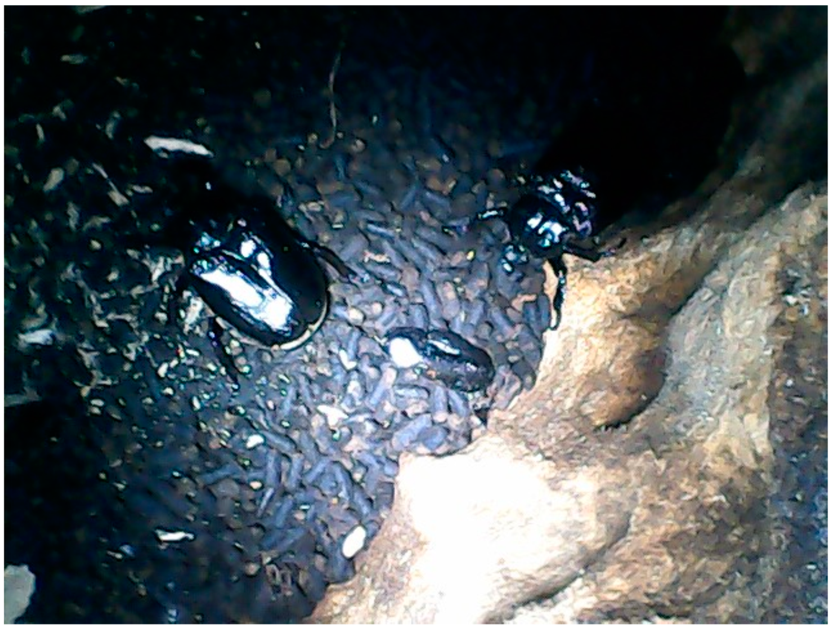 Sustainability 11 01816 g008 Sustainability 11 01816 g008