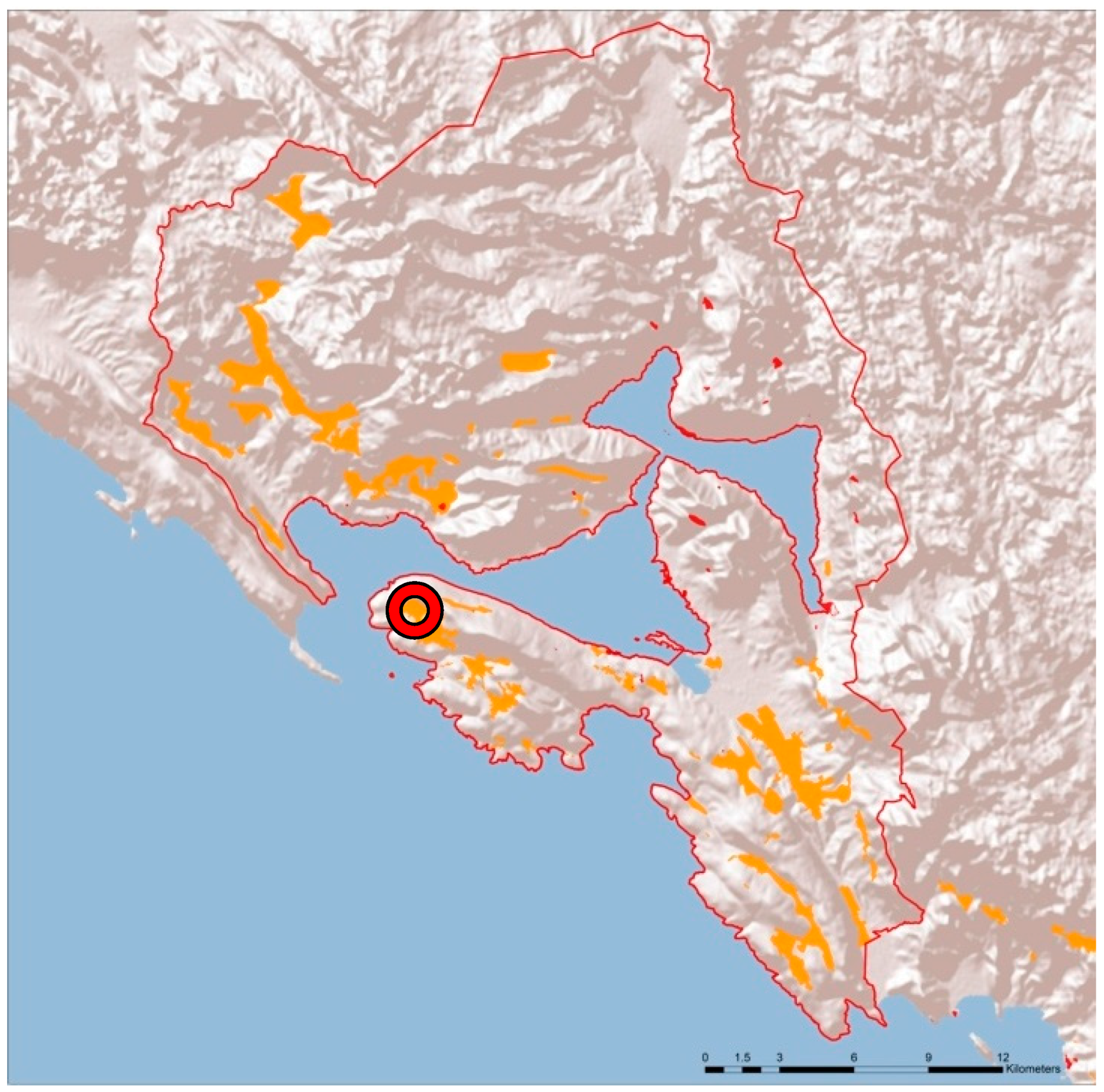 Sustainability 11 02039 g001