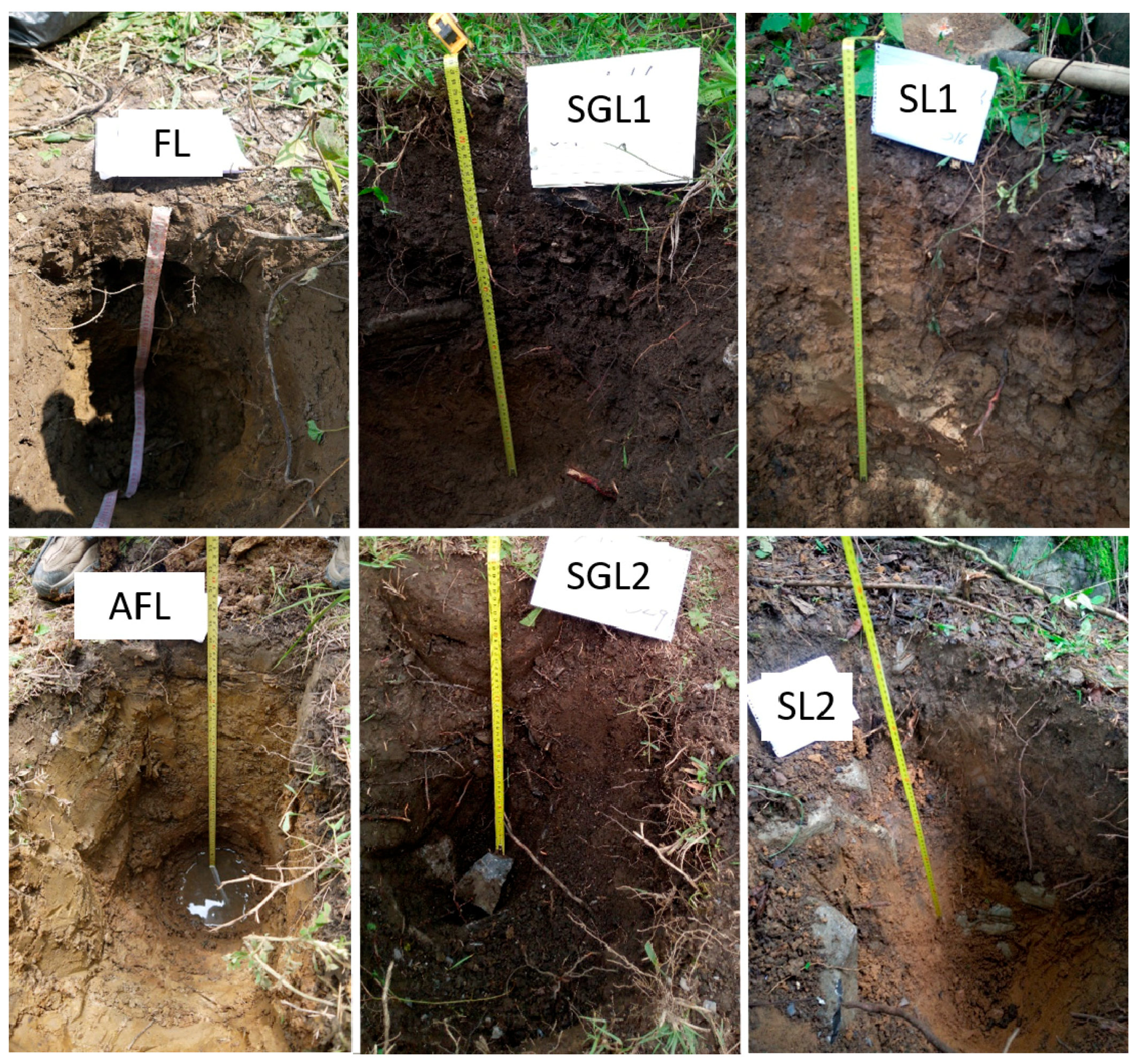 Sustainability 11 02144 g002 Sustainability 11 02144 g002