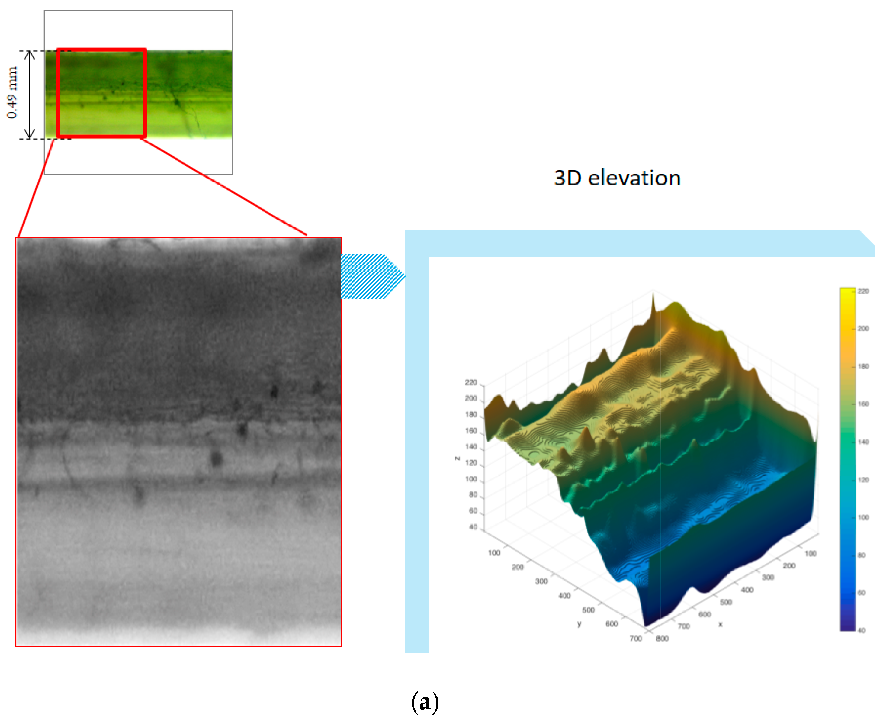 Sustainability 11 02200 g005a
