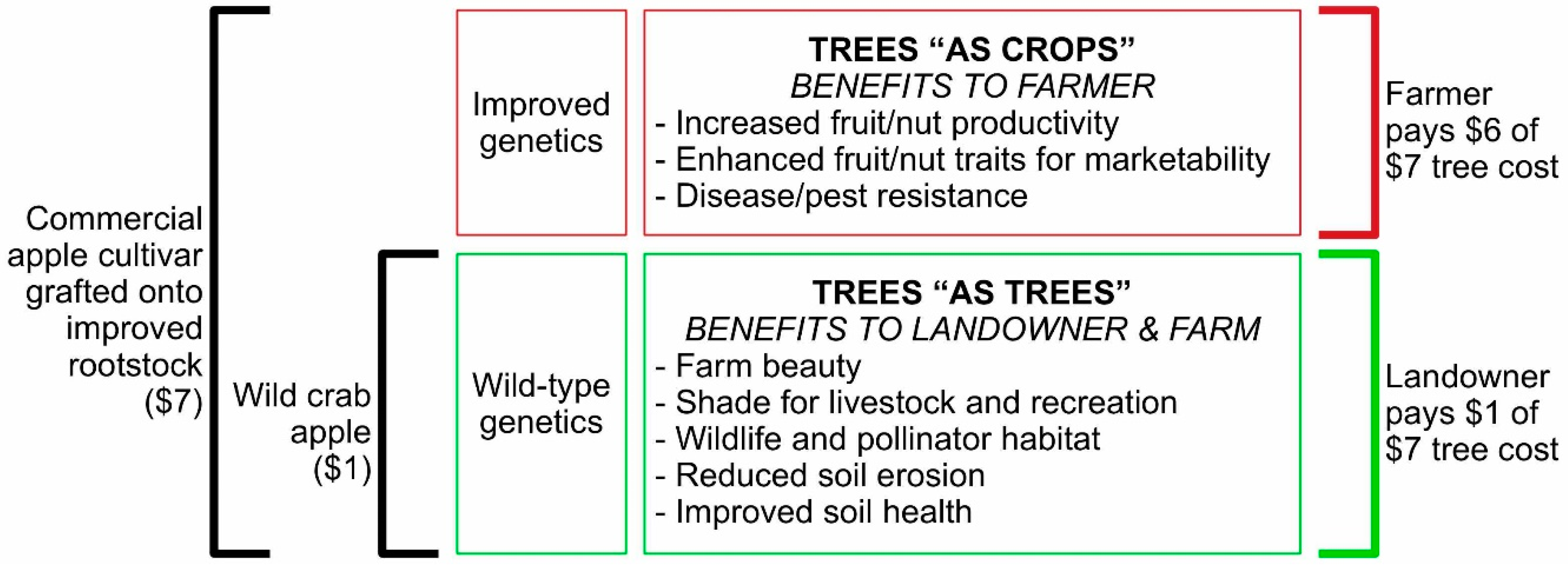 Sustainability 11 02449 g001