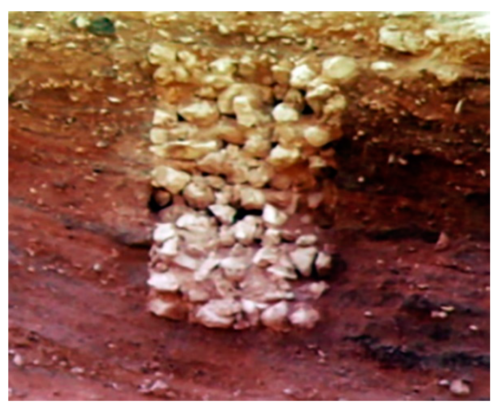 Sustainability 11 02501 g013