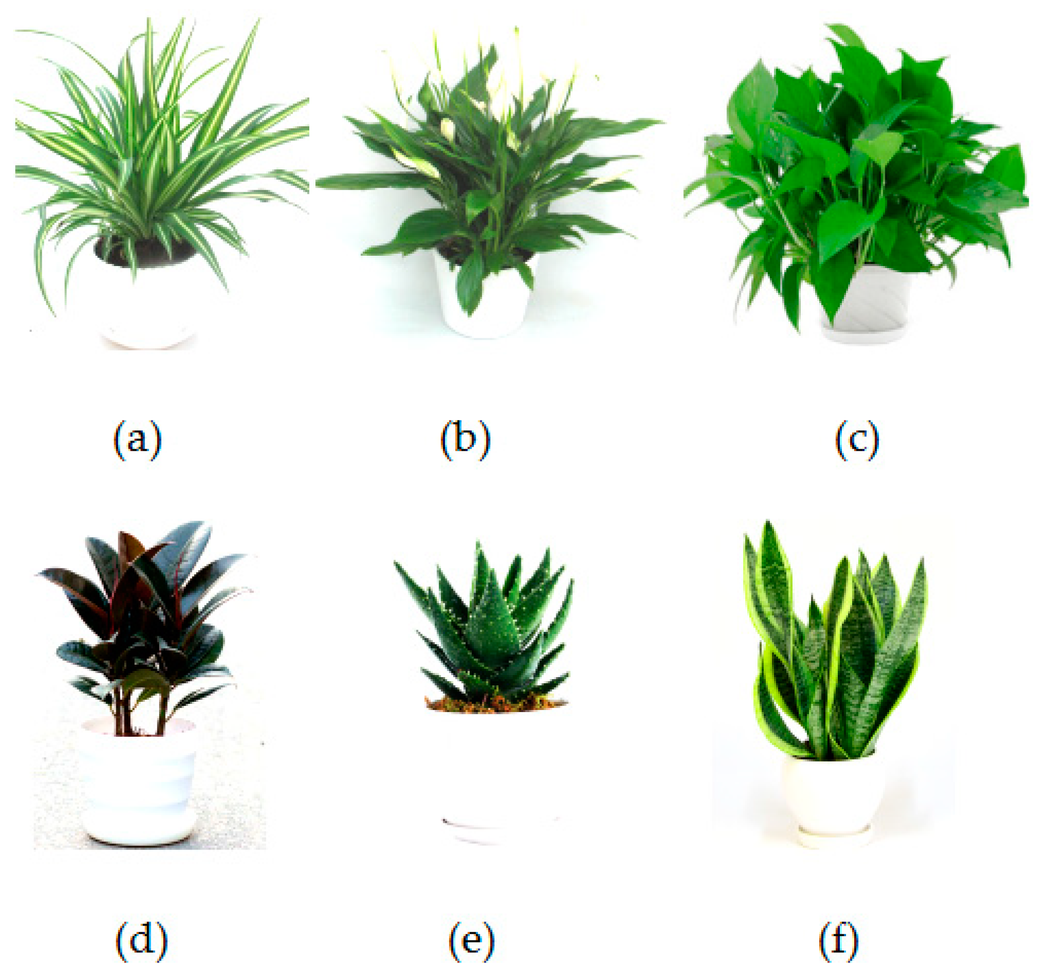 Sustainability Free Full Text Assisted Deposition Of Pm2 5